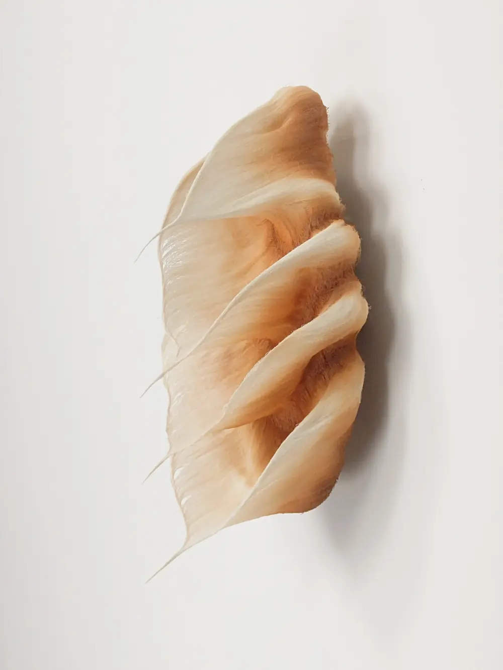 Breath of Ambra